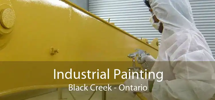 Industrial Painting Black Creek - Ontario