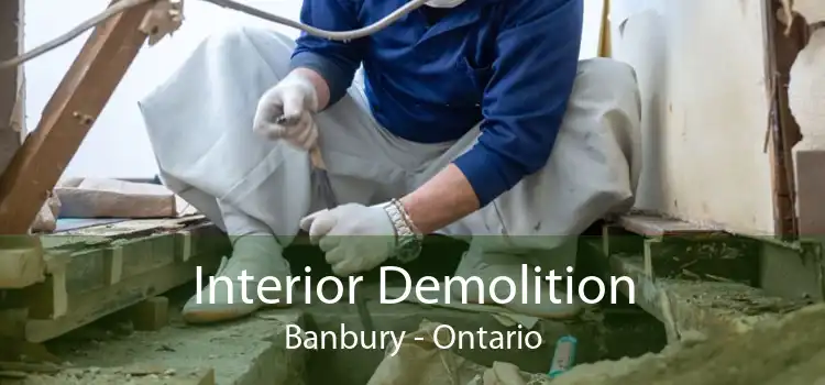 Interior Demolition Banbury - Ontario