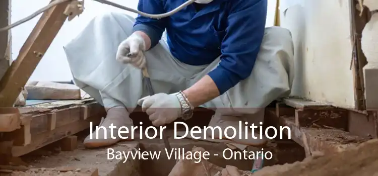 Interior Demolition Bayview Village - Ontario