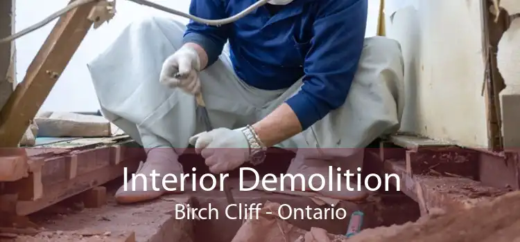 Interior Demolition Birch Cliff - Ontario