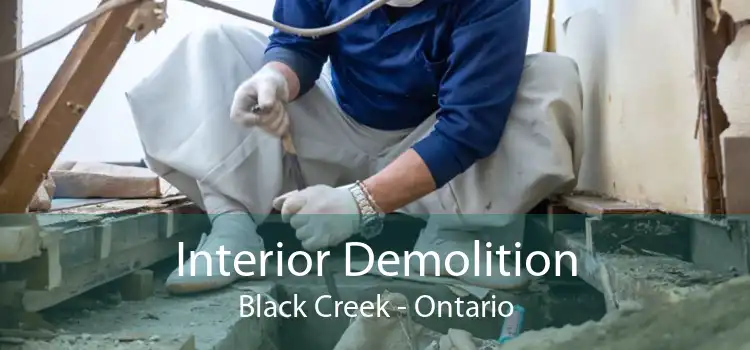 Interior Demolition Black Creek - Ontario