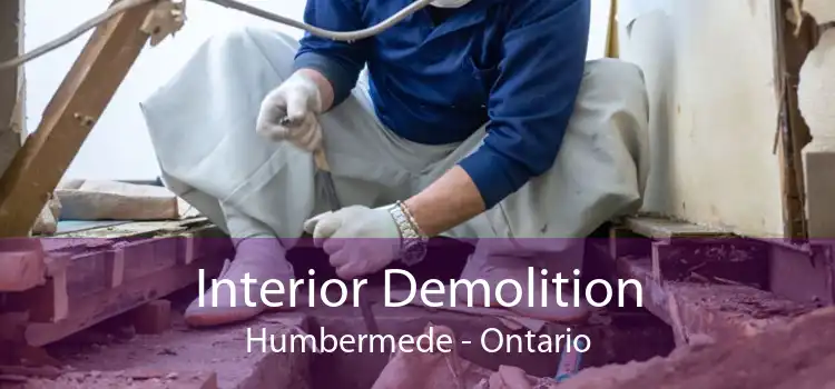 Interior Demolition Humbermede - Ontario