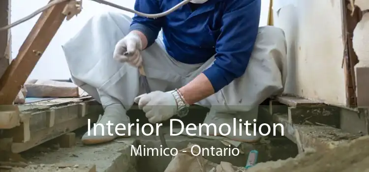 Interior Demolition Mimico - Ontario