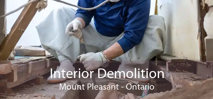 Interior Demolition Mount Pleasant - Ontario