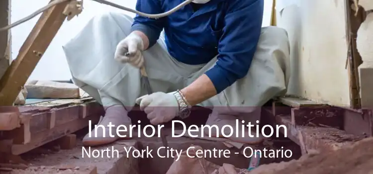 Interior Demolition North York City Centre - Ontario