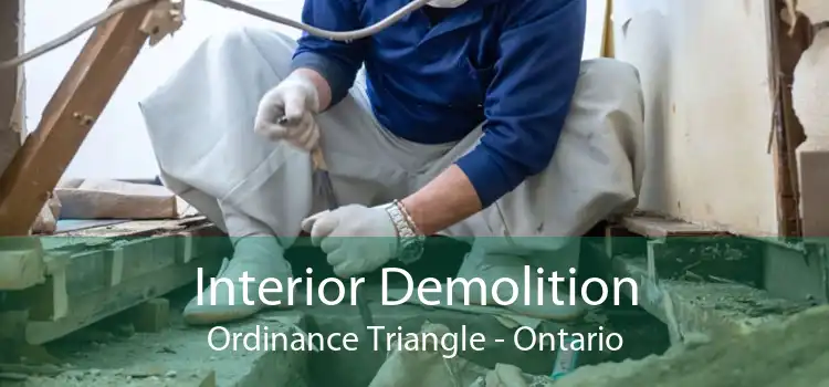 Interior Demolition Ordinance Triangle - Ontario