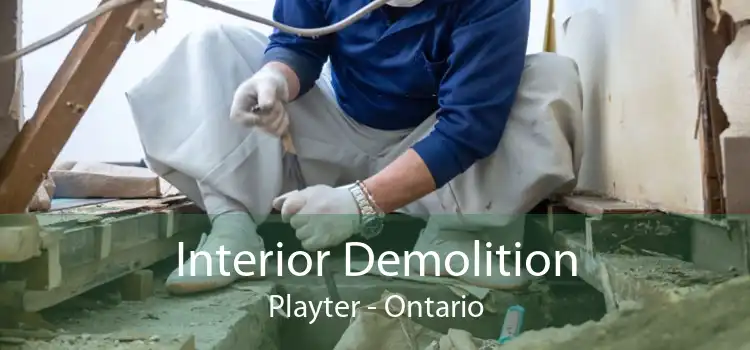 Interior Demolition Playter - Ontario