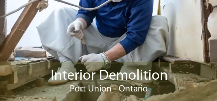 Interior Demolition Port Union - Ontario