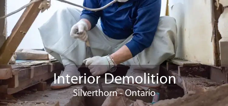 Interior Demolition Silverthorn - Ontario