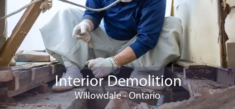 Interior Demolition Willowdale - Ontario