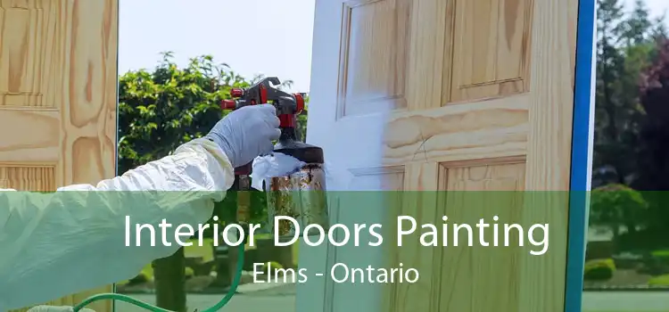 Interior Doors Painting Elms - Ontario