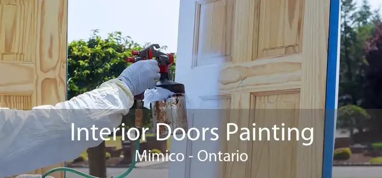 Interior Doors Painting Mimico - Ontario