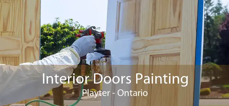 Interior Doors Painting Playter - Ontario