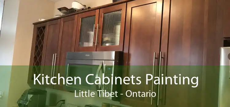Kitchen Cabinets Painting Little Tibet - Ontario