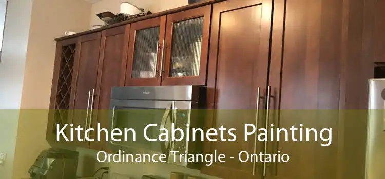 Kitchen Cabinets Painting Ordinance Triangle - Ontario