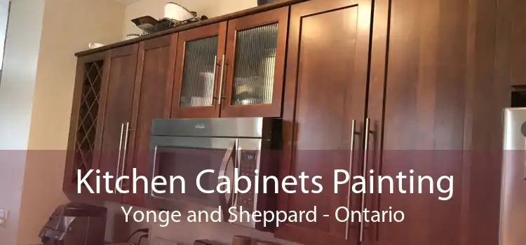 Kitchen Cabinets Painting Yonge and Sheppard - Ontario