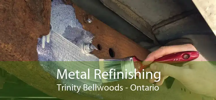 Metal Refinishing Trinity Bellwoods - Ontario
