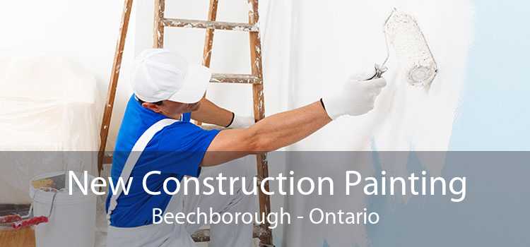 New Construction Painting Beechborough - Ontario