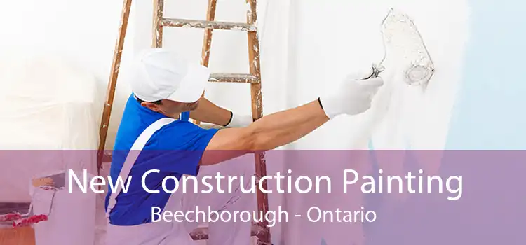 New Construction Painting Beechborough - Ontario