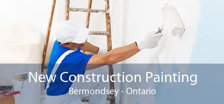 New Construction Painting Bermondsey - Ontario