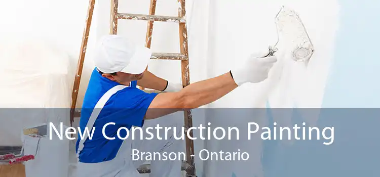 New Construction Painting Branson - Ontario