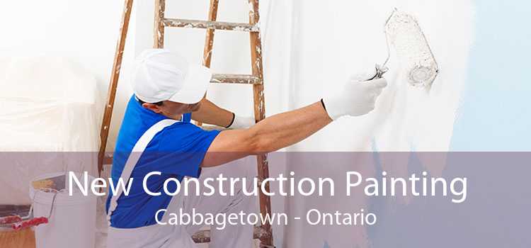 New Construction Painting Cabbagetown - Ontario