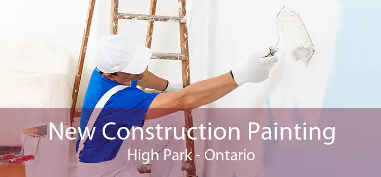 New Construction Painting High Park - Ontario