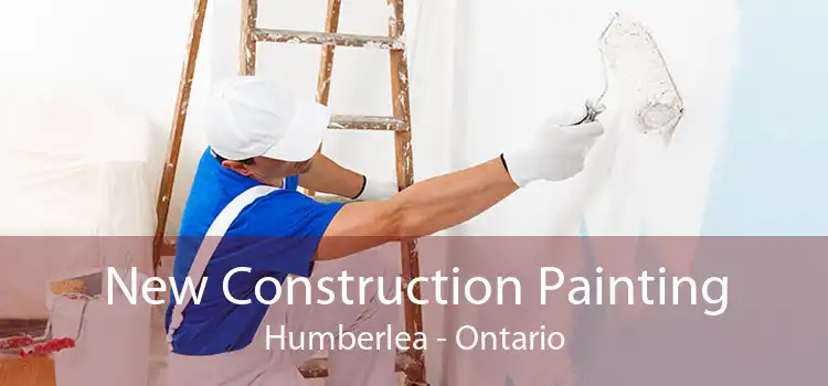 New Construction Painting Humberlea - Ontario