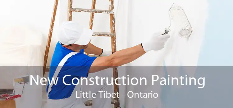 New Construction Painting Little Tibet - Ontario