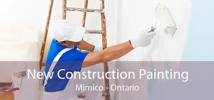 New Construction Painting Mimico - Ontario