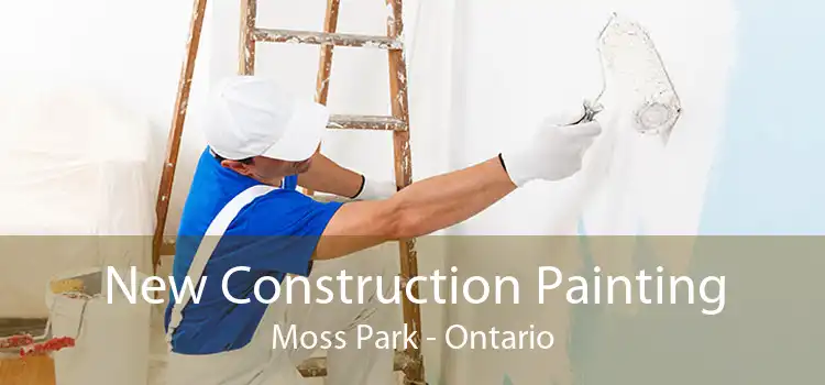 New Construction Painting Moss Park - Ontario