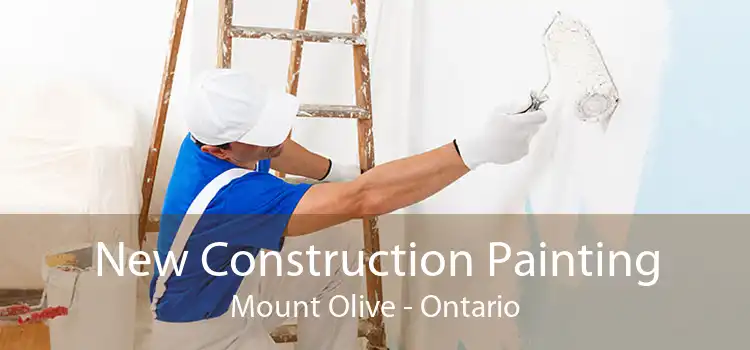 New Construction Painting Mount Olive - Ontario