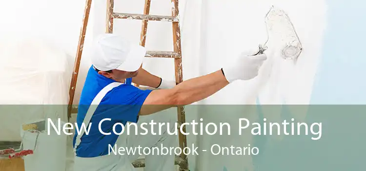 New Construction Painting Newtonbrook - Ontario