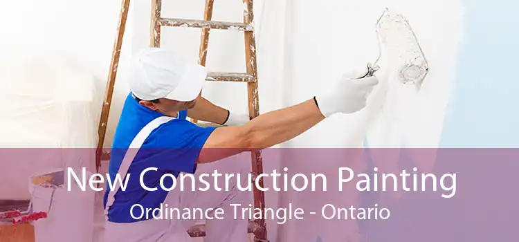 New Construction Painting Ordinance Triangle - Ontario