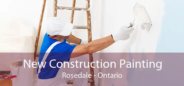 New Construction Painting Rosedale - Ontario