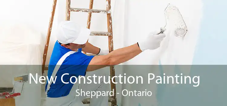 New Construction Painting Sheppard - Ontario