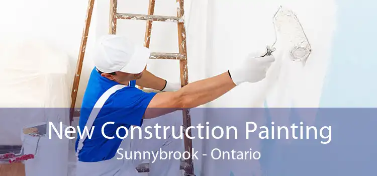 New Construction Painting Sunnybrook - Ontario