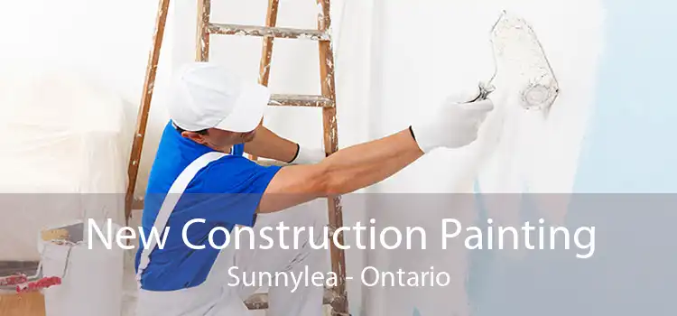 New Construction Painting Sunnylea - Ontario