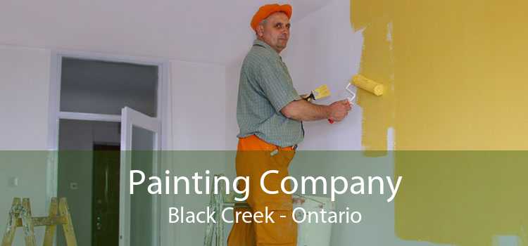 Painting Company Black Creek - Ontario