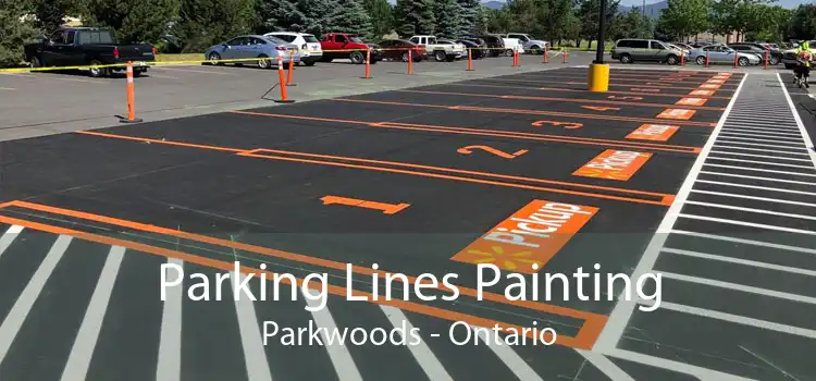 Parking Lines Painting Parkwoods - Ontario