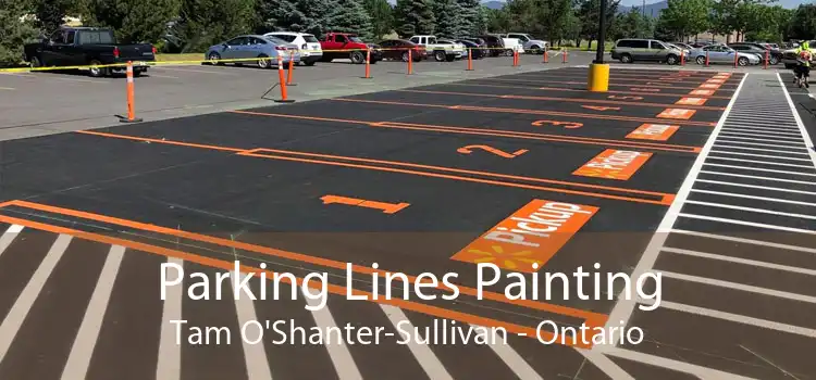 Parking Lines Painting Tam O'Shanter-Sullivan - Ontario