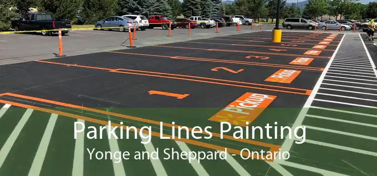 Parking Lines Painting Yonge and Sheppard - Ontario