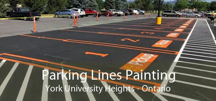 Parking Lines Painting York University Heights - Ontario