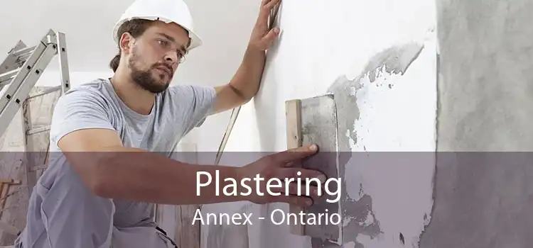 Plastering Annex - Ontario