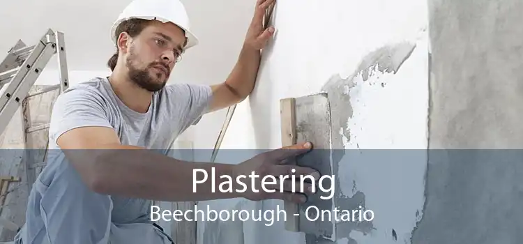 Plastering Beechborough - Ontario