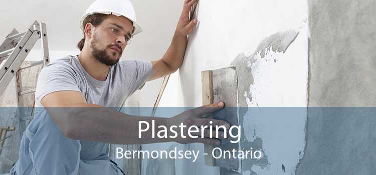 Plastering Bermondsey - Ontario
