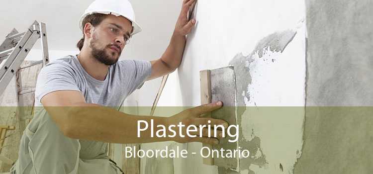 Plastering Bloordale - Ontario