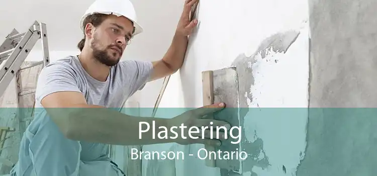 Plastering Branson - Ontario