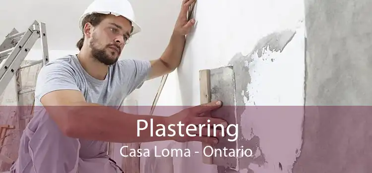 Plastering Casa Loma - Ontario