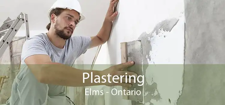 Plastering Elms - Ontario